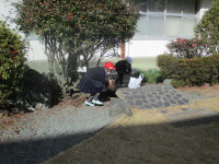 pict-IMG_1337