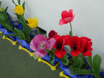DSC00790