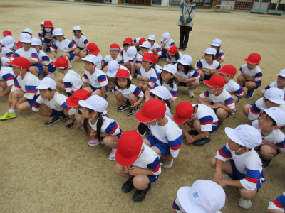 pict-IMG_5657