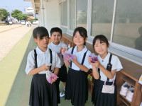 CIMG8743