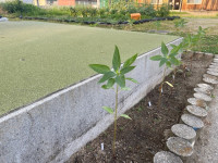 image13