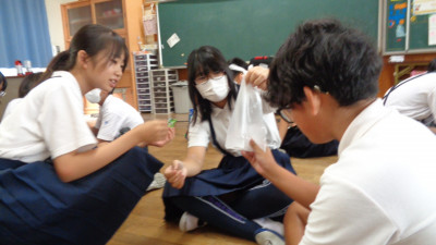 DSC02376